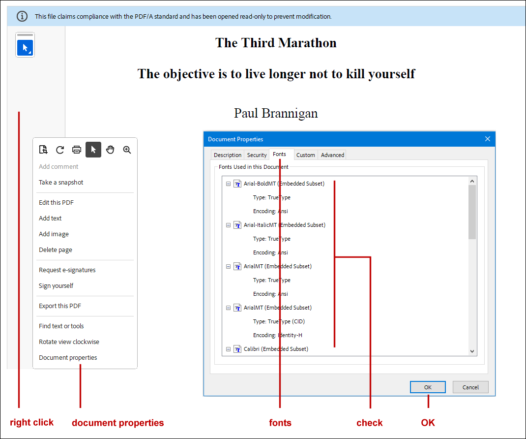 screenshot of Adobe Acrobat reader