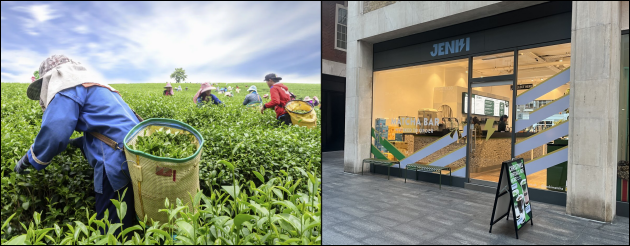 composite photo - a field of tea busheses with some workers picking leaves - the exterior of a modern Matcha Bar in London